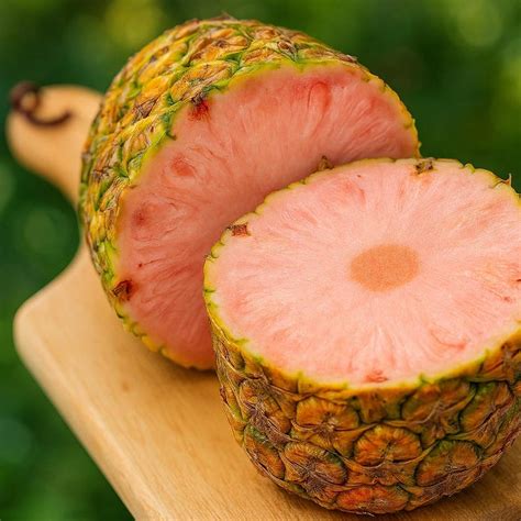 Pinkglow Pineapple Seeds: Rare Rosy Pink Variety (15 Seeds) - Etsy