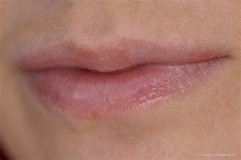 Масло для губ Influence Beauty Ekso Natural | Собери их все | Отзывы ...