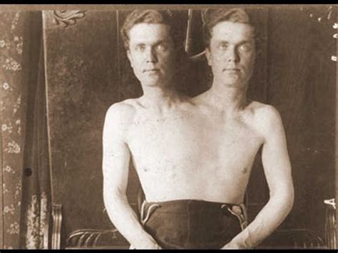 btis rants  ramblings  friday fun facts