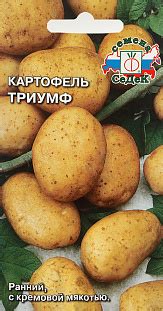 Картофель "триумф": описание сорта, характеристики, фото и особенности ...