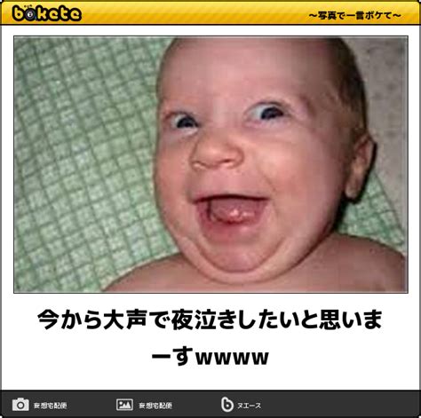 wwww funny sports pictures funny  funny