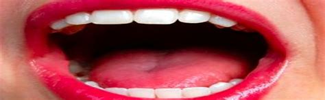 Mouth The Function | Body & Mind | dreamhawk.com
