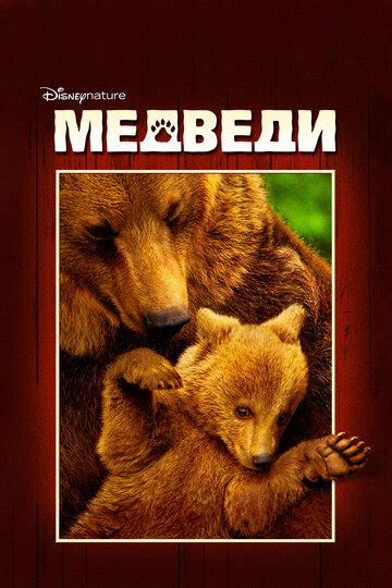 Медведи (2014) — КиноПоиск