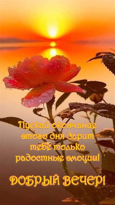 Добрый вечер | Важные цитаты, Женские цитаты, Милые открытки