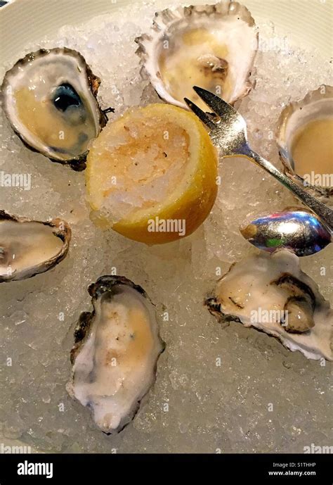 halfshell  res stock photography  images alamy