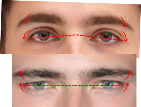 Understanding Hunter Eyes: A Complete Guide. - Mewing App