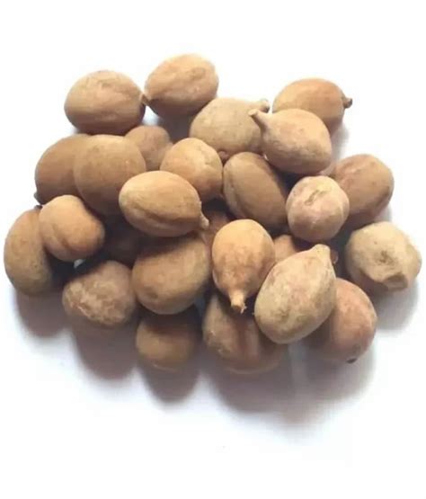 dried baheda fruit packaging type loose botanical  terminalia