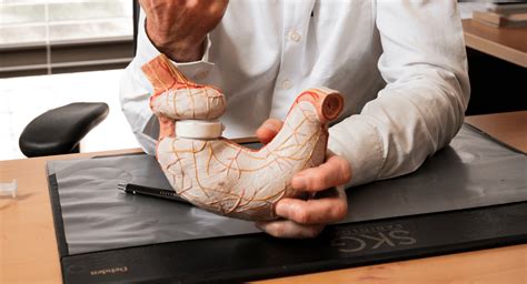 adjustable gastric band surgery perth dr kevin dolan