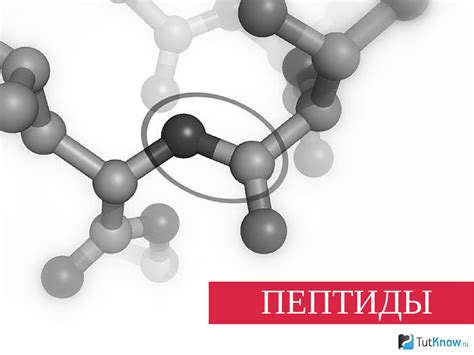 Применение пептидов для увеличения мышечной массы и силы