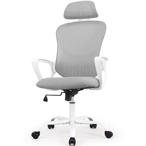 GIANNA Ergonomic Office Desk Chair With Headrest and Armrest, High Back