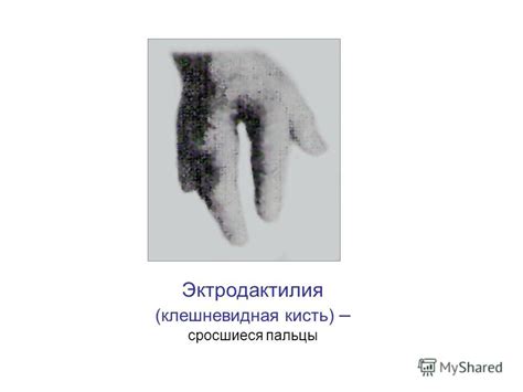 Презентация на тему: "Учитель биологии МОУ «Гимназия 3» г. Брянска ...