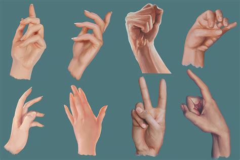 male  female hand anatomy  nancy merrell blog