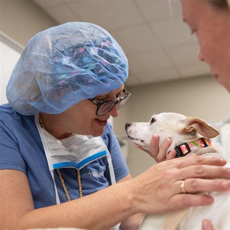 BluePearl Pet Hospital | Levittown, PA