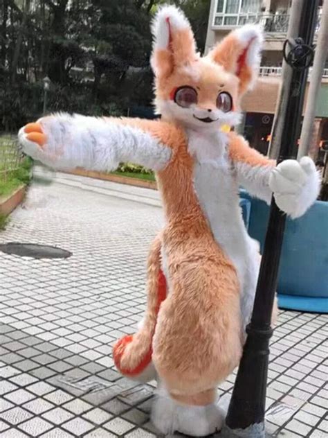 Light Orange Furry Halloween Costume Funny Suits With Long Fur Husky ...