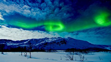 Tromso northern lights (Norway) - backiee