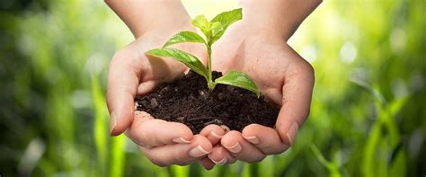 financial stewardship watermark community church