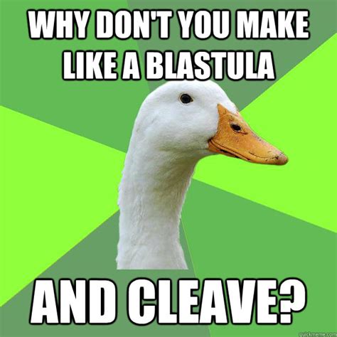 Why don't you make like a blastula and Cleave? - Biology Student Duck ...