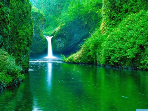 wallpapers   pc desktop laptop mobile phone photo pic