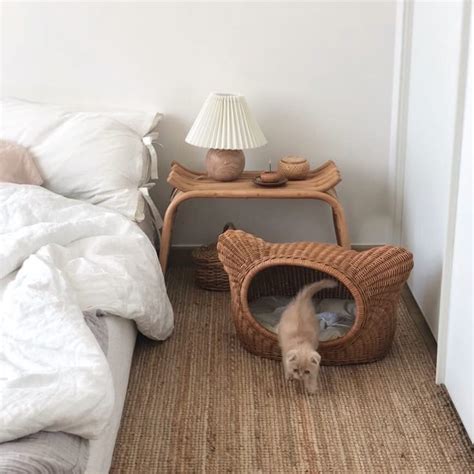 𝚙𝚒𝚗𝚝𝚎𝚛𝚎𝚜𝚝: 𝚖𝚊𝚝𝚌𝚑𝚊𝚋𝚞𝚗 | Милые котики, Котята, Кошачьи кровати