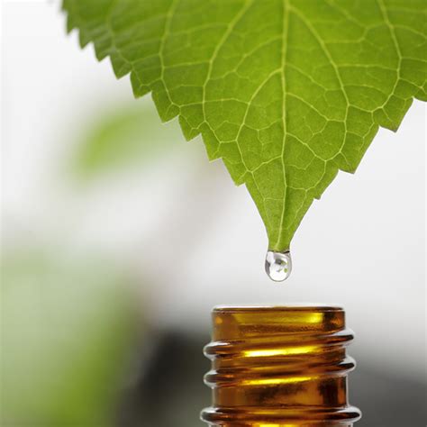 Is ‘natural’ always best? | The Chatham Voice