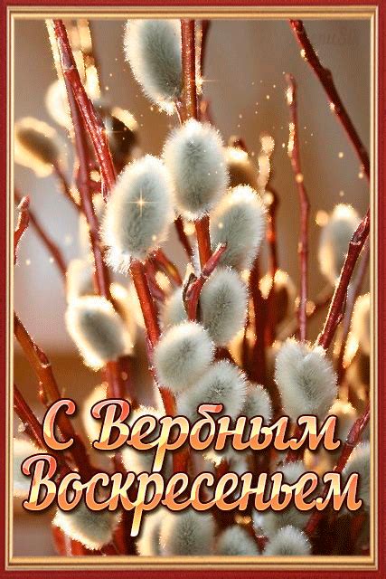 https://animated-gif.su/_ph/40/2/179351985.gif Flower Background ...