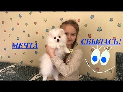 МНЕ ПОДАРИЛИ СОБАКУ!!!!!!! - YouTube