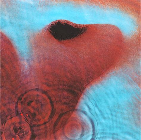 1971 Pink Floyd - Meddle - Jacek Borawski