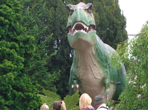 t rex - Dinosaurs Photo (33262308) - Fanpop