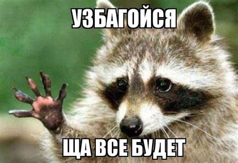 Прикольные картинки "Узбагойся!" (43 фото)