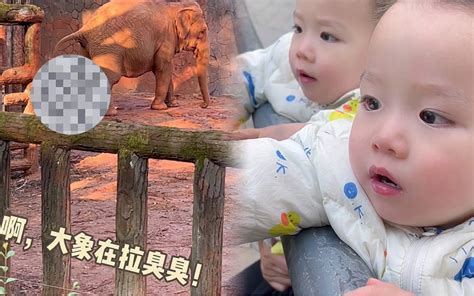 分享一个拉屎app今天你便了吗？还可以组队的哦 - 知乎