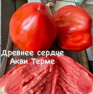 "ДРЕВНЕЕ СЕРДЦЕ АКВИ ТЕРМЕ" | Томаты. Семена овощей