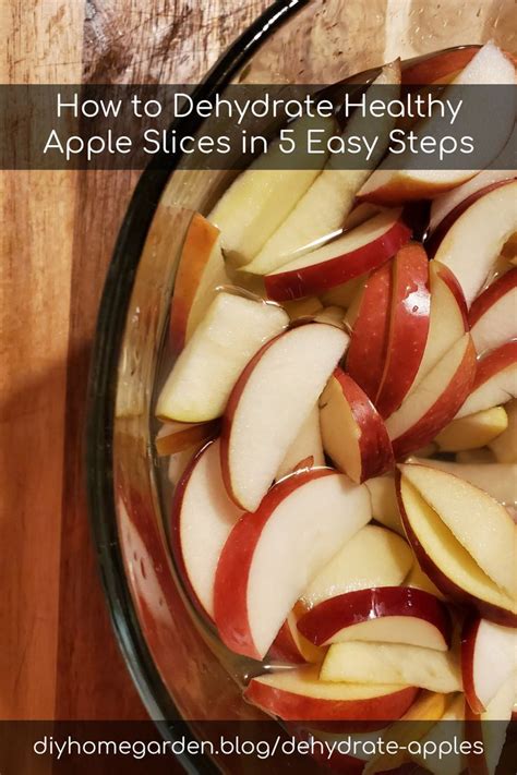 Dehydrate Apples in 5 Easy Steps | Dehydrated apples, Healthy apple, Dehydrator