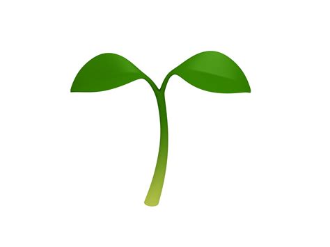 plant sprout plant cartoon sprouts plant drawing