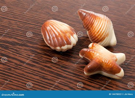 Chocolate seashells stock photo. Image of seashell, romantic - 14478022