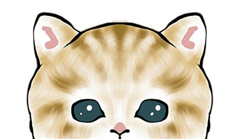 Милые котики с одеждой из пинтереста и тик тока | мимикотики
