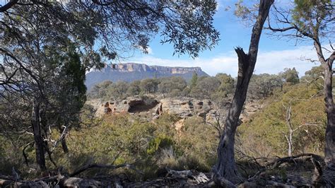 gardens  stone national park  south wales  australia