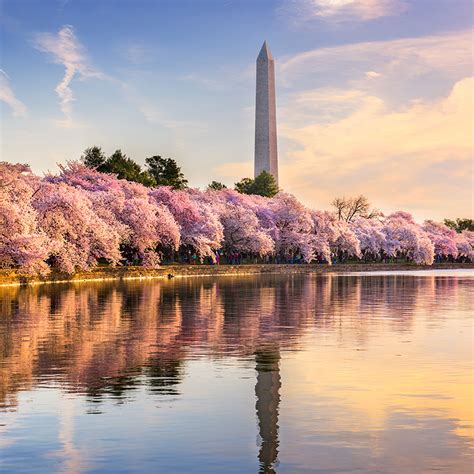 Washington D.C. | Edinburgh Airport
