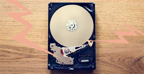 data hoarder    dependent slashgear