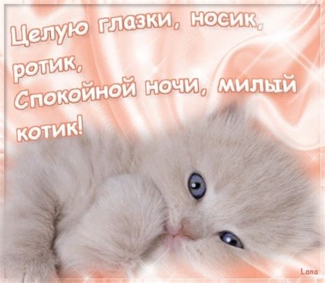Картинки люблю тебя котики - милые