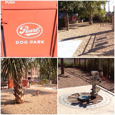 The Pearl Dog Park is perfect for smaller dogs while visiting the