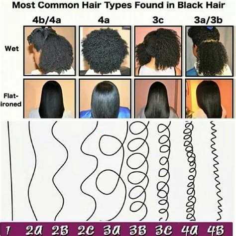 common hair types  black hair black hair types hair type