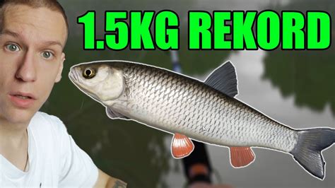 Nova Palca Nov Rekord 1.5 KG | Russian Fishing 4 - YouTube