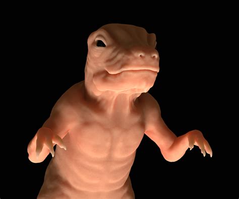 untitled (zbrush/blender) : r/blender