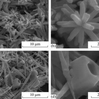 (PDF) Synthesis of barium and strontium carbonate crystals with unusual ...