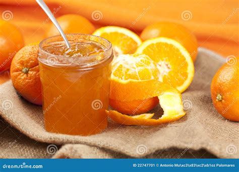 Marmelade Royalty-Free Stock Photography | CartoonDealer.com #233399