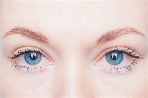 Inglot star dust и inglot long for mascara - обзор и свотчи | Beauty ...