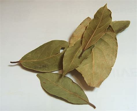 Mirodije – Wikipedija