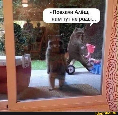 Мем-картинка CaLBdAtC4 от iDaPrikolFeatured: 1 комментарий - Такого вы ...