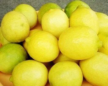 Freash Lemon at Rs 15/kilogram | नींबू in Pune | ID: 14190907433