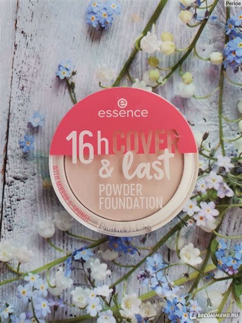 Тональная основа Essence Powder foundation 16h Cover&last ...